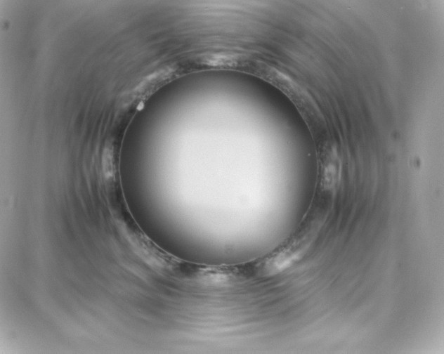 X0000087750620200705211039