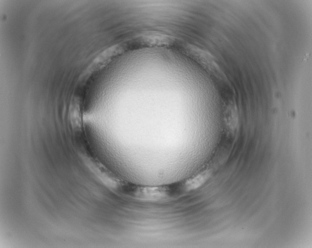 X0000087750622200705211039