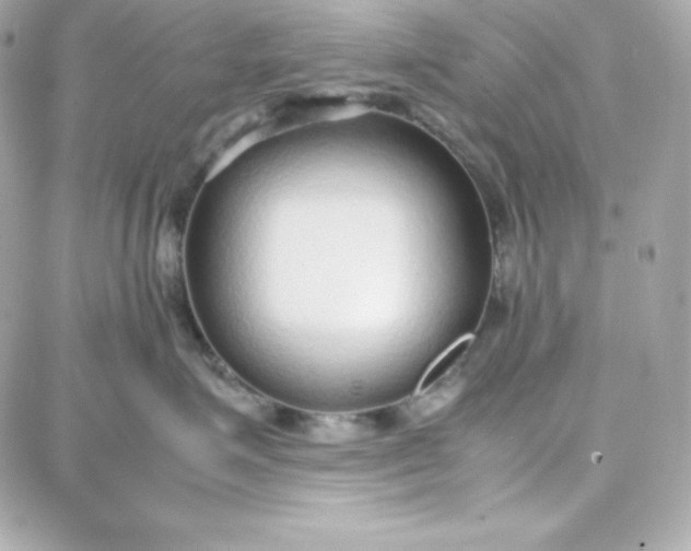 X0000087750623200705211039