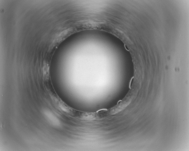 X0000087750624200705211039