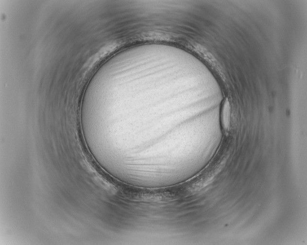 X0000087750625200705211038