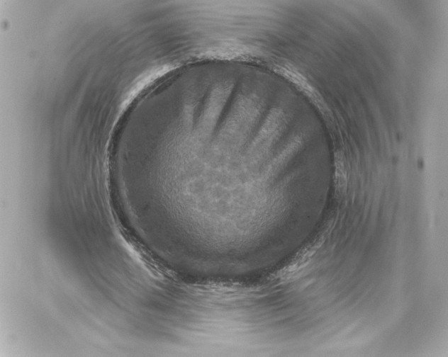 X0000087750626200705211038