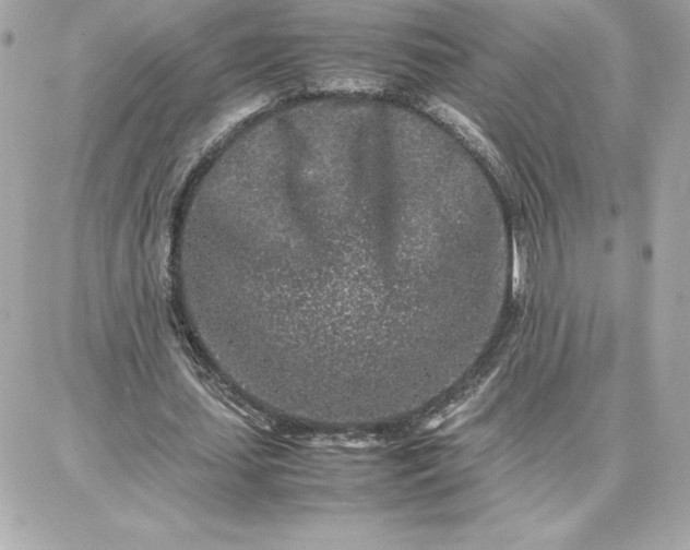 X0000087750627200705211038