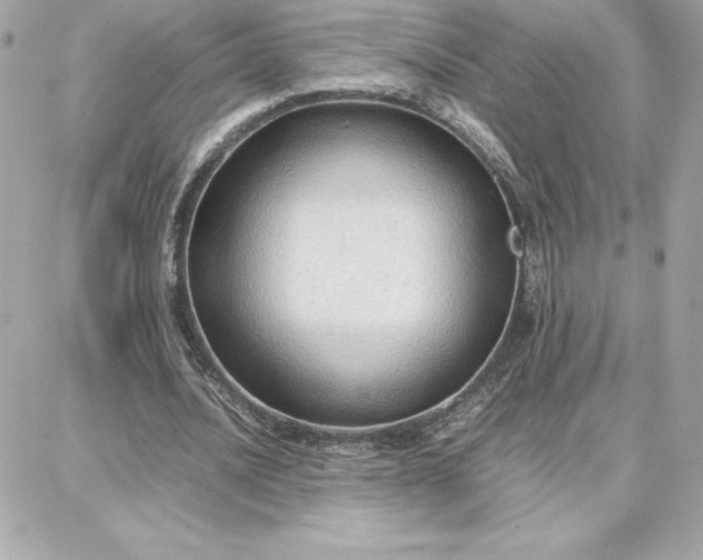 X0000087750628200705211038