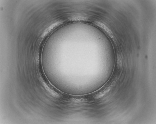 X0000087750629200705211038