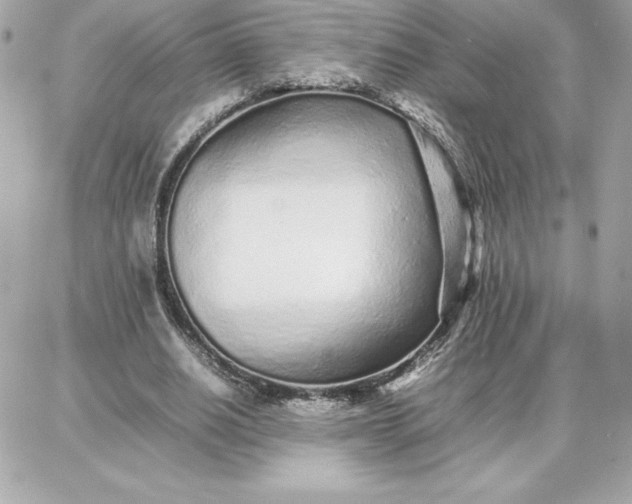 X0000087750630200705211038