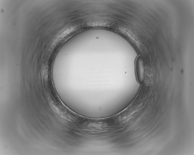 X0000087750631200705211038