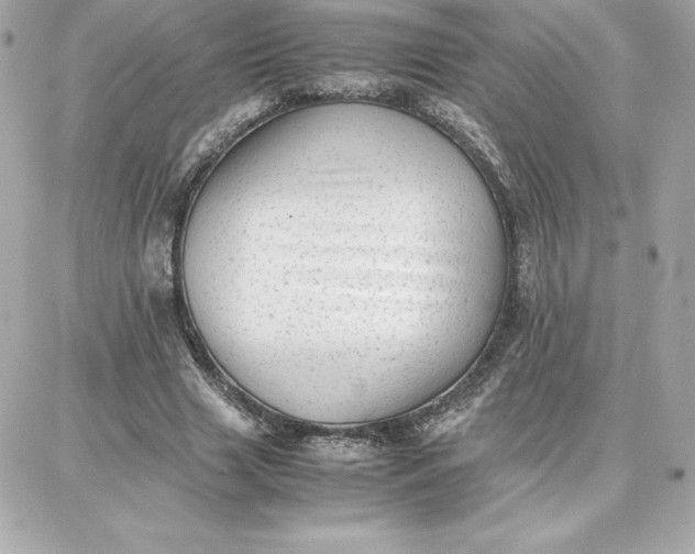 X0000087750633200705211038