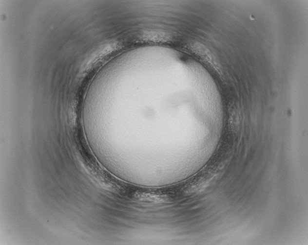 X0000087750635200705211038