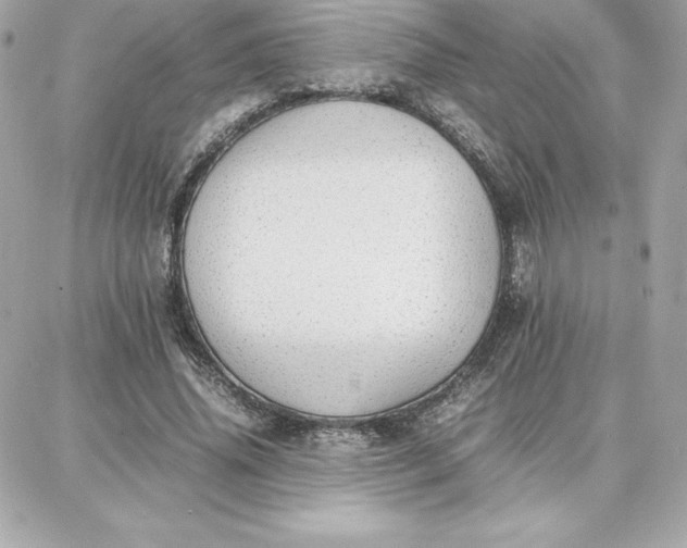 X0000087750636200705211038