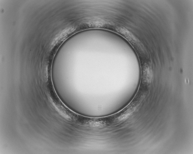 X0000087750638200705211038