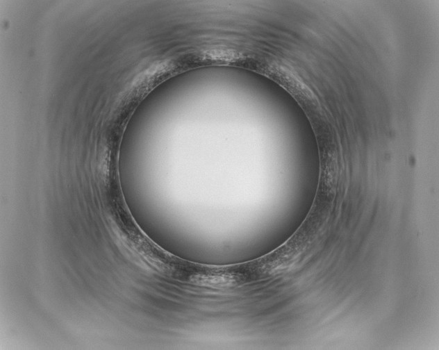 X0000087750639200705211038