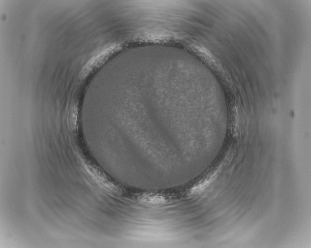 X0000087750640200705211038