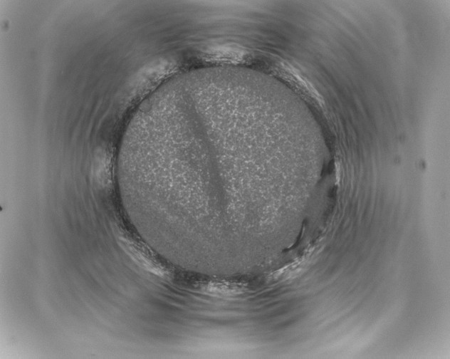 X0000087750641200705211038