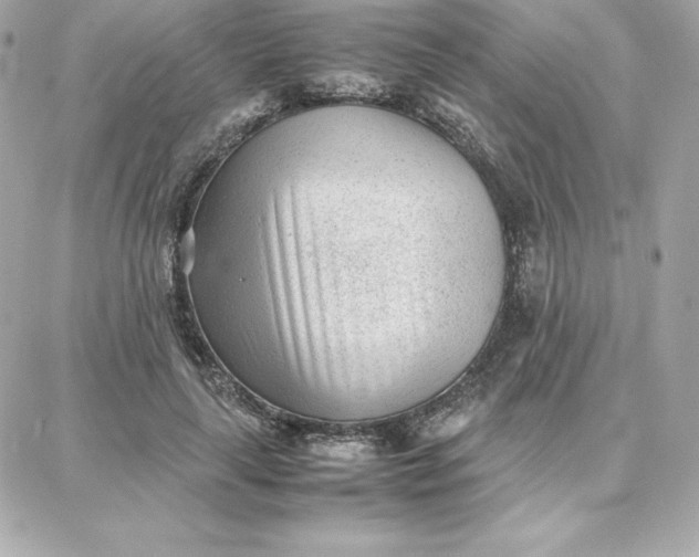 X0000087750643200705211038