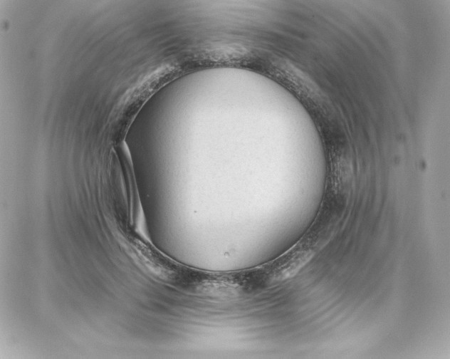 X0000087750644200705211038