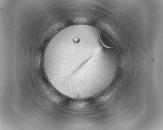 X0000087750645200705211038