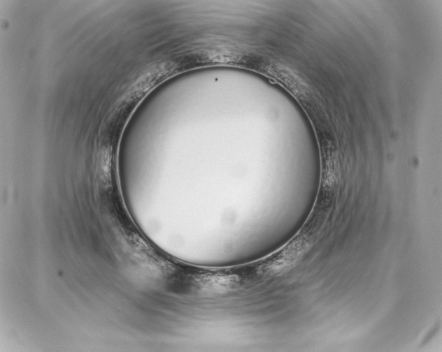 X0000087750646200705211038