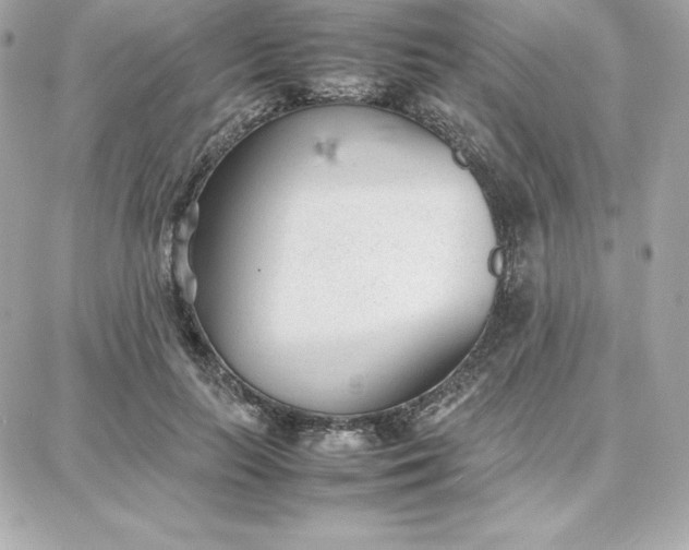 X0000087750647200705211038