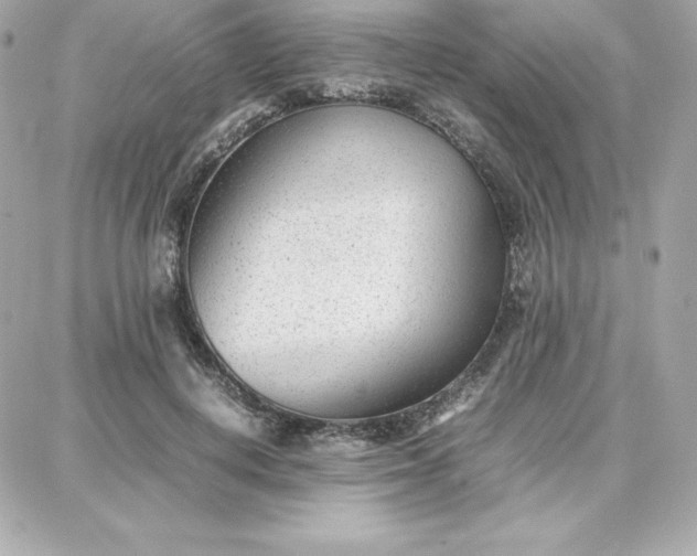 X0000087750648200705211038