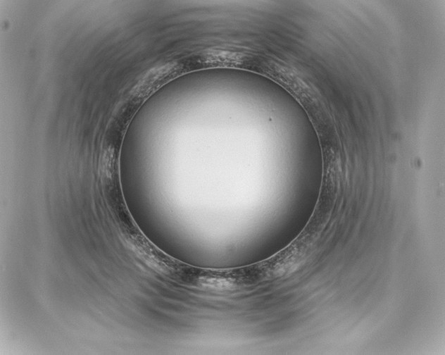 X0000087750649200705211038