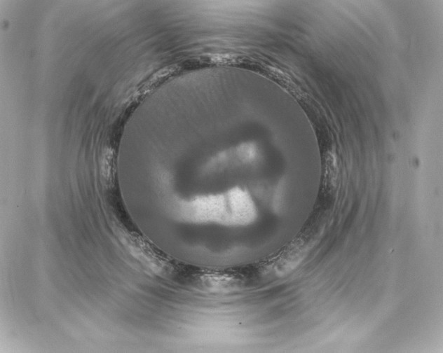 X0000087750650200705211038