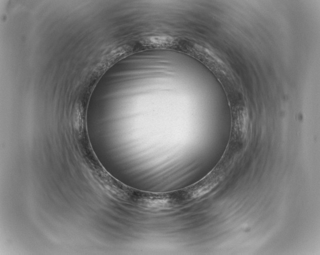 X0000087750651200705211038