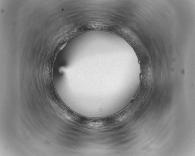 X0000087750653200705211038