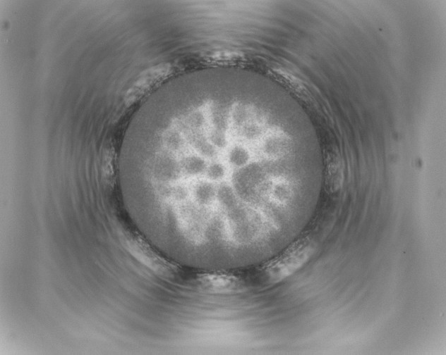 X0000087750654200705211038