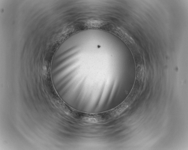 X0000087750655200705211038