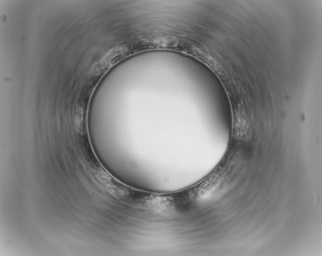 X0000087750656200705211038