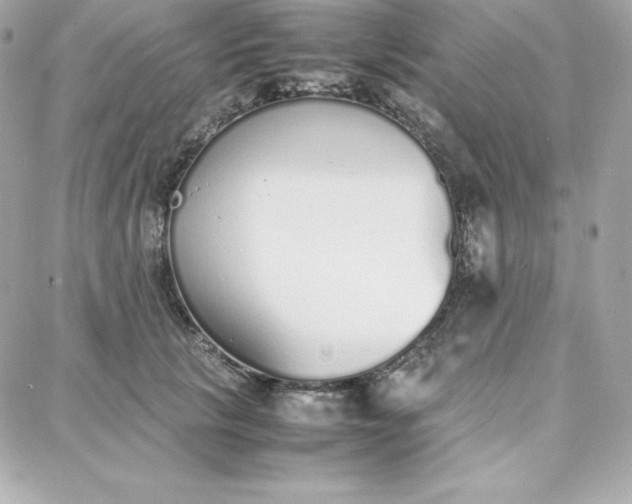 X0000087750657200705211038