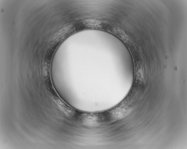 X0000087750658200705211038