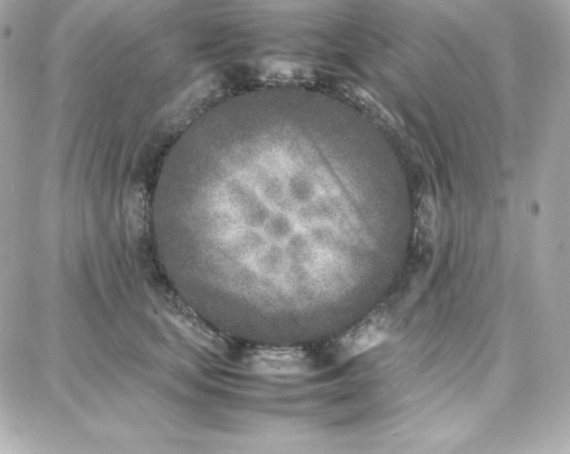 X0000087750659200705211038