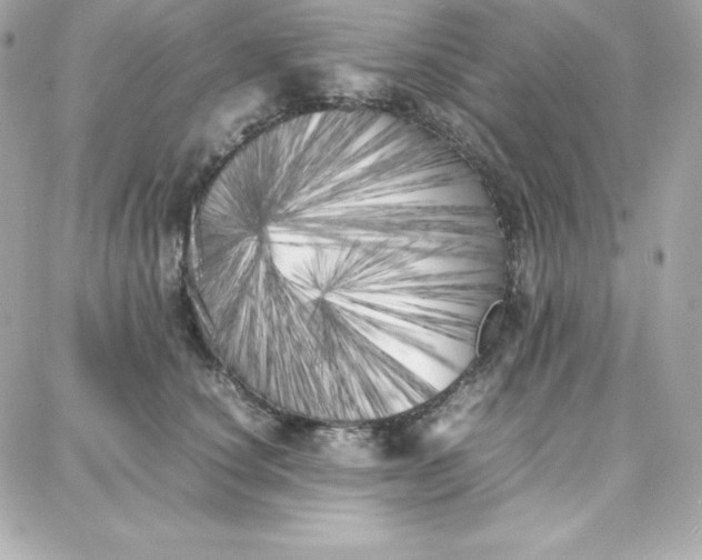 X0000087750660200705211038