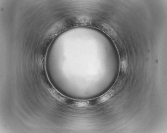 X0000087750662200705211038