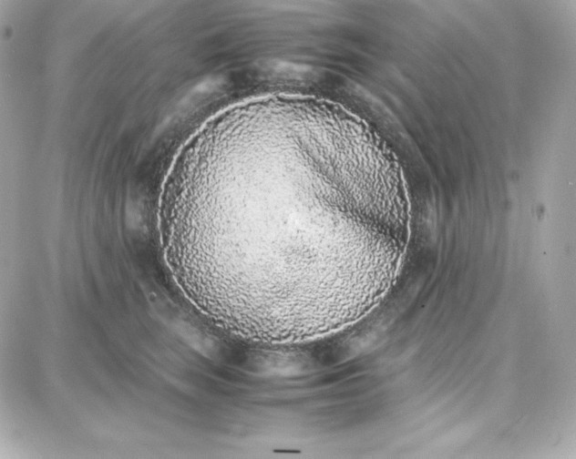 X0000087750663200705211038