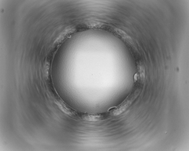 X0000087750664200705211038