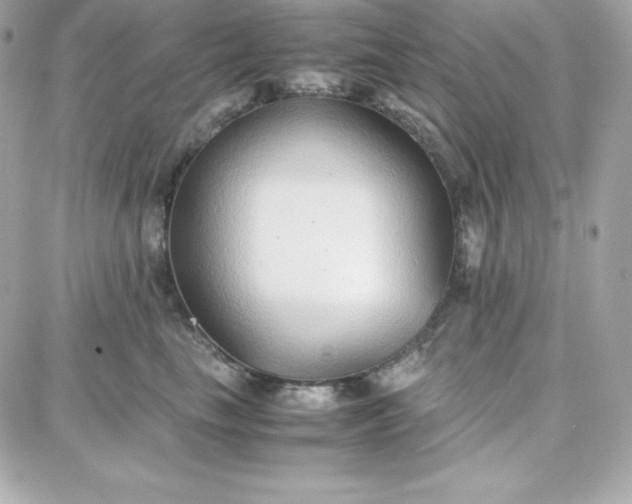 X0000087750665200705211038