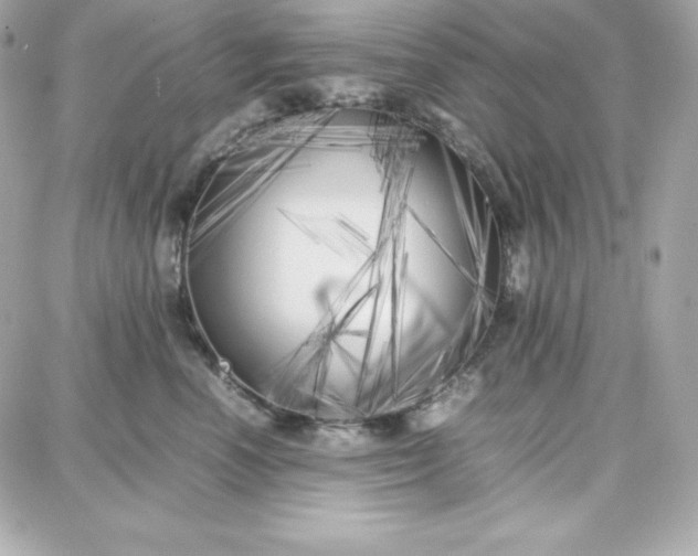 X0000087750666200705211038