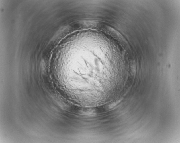 X0000087750667200705211039