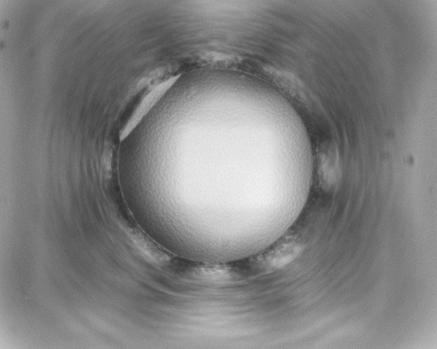 X0000087750668200705211039