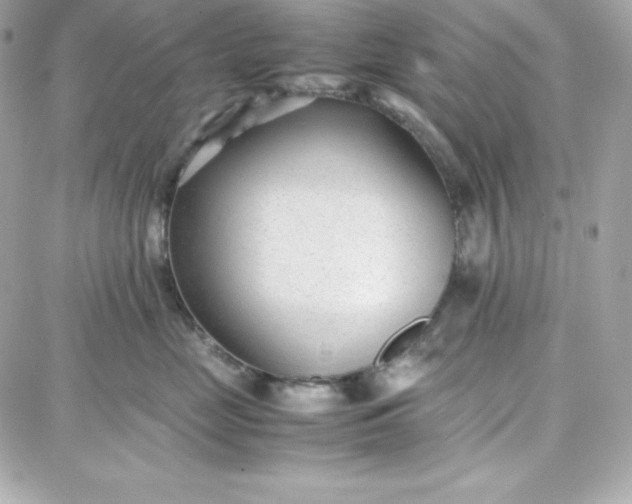 X0000087750669200705211039