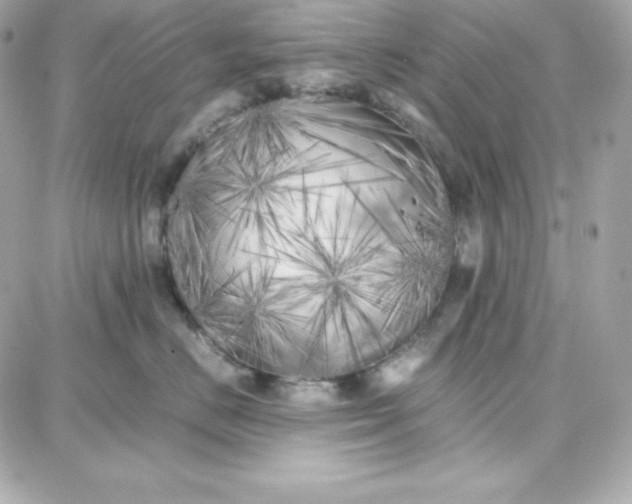 X0000087750670200705211039