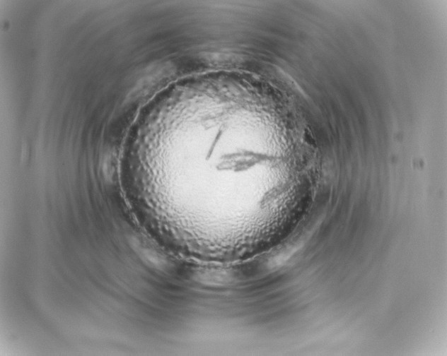 X0000087750671200705211039