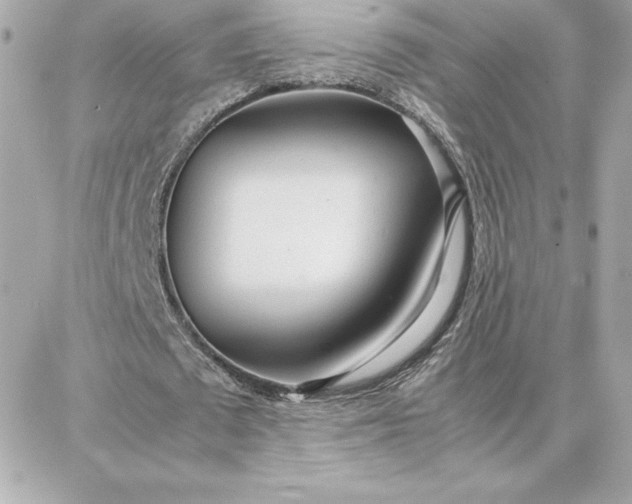 X0000087750673200705211038