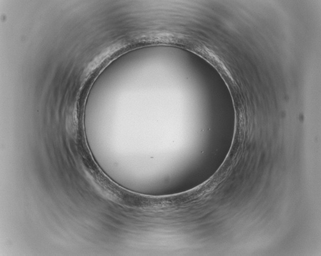 X0000087750674200705211038