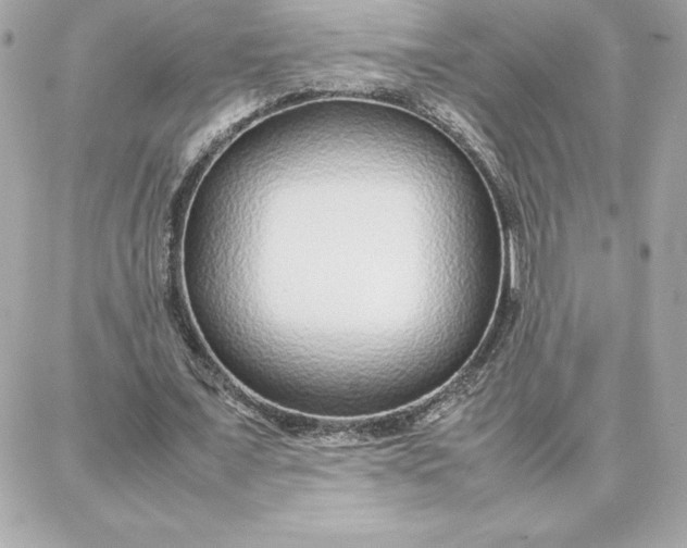 X0000087750675200705211038