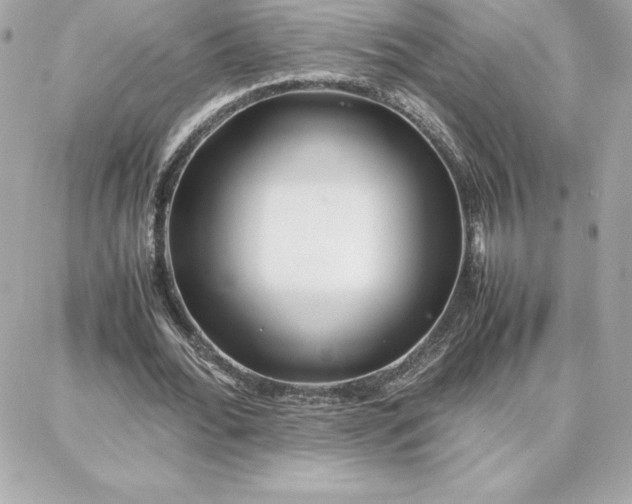 X0000087750676200705211038