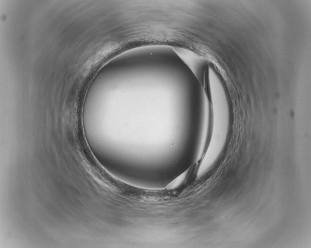 X0000087750677200705211038